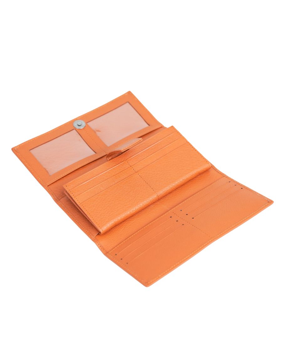 MULTI COLORED WALLET