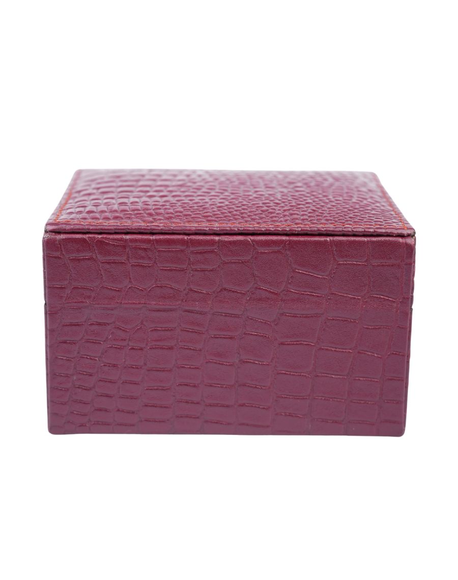 Crocodile Watch Box
