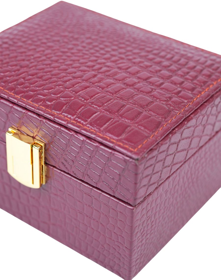 Crocodile Watch Box