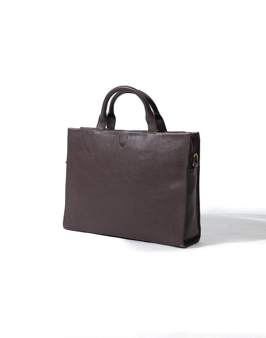 Evolution 03 - Briefcase